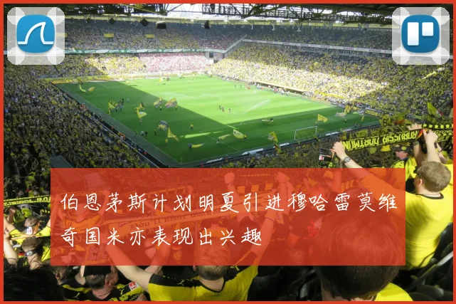 伯恩茅斯计划明夏引进穆哈雷莫维奇国米亦表现出兴趣