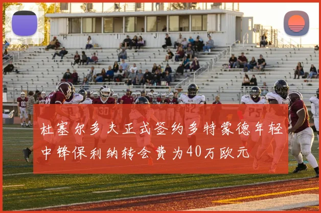 杜塞尔多夫正式签约多特蒙德年轻中锋保利纳转会费为40万欧元