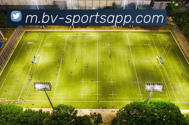 宝威体育平台生态图