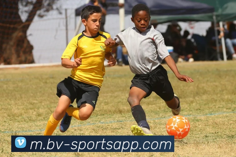 宝威体育APP 封面图